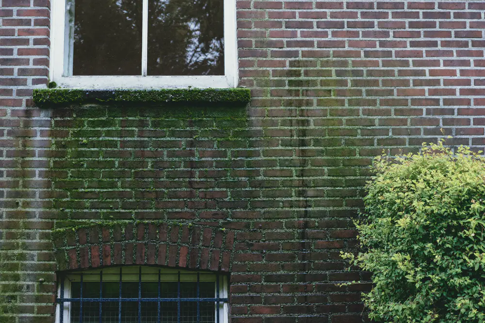 Groene aanslag en zwarte strepen op de schaduwkant van een oude bakstenen boerderij
